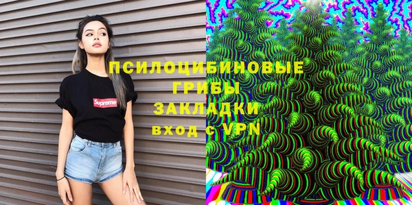 PSILOCYBIN Майский