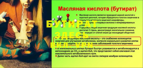 PSILOCYBIN Майский